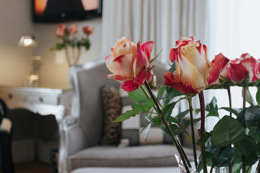 The Light House Boutique Suites 파를 외부 사진