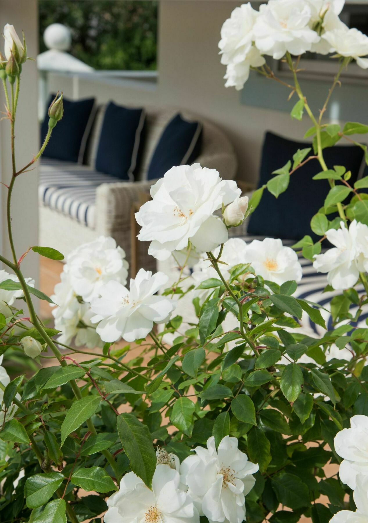 The Light House Boutique Suites 파를 외부 사진